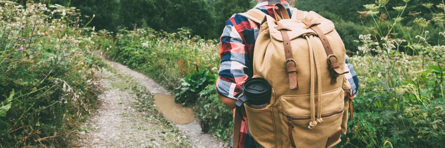 Coleção Mochila Escolar Machimelo